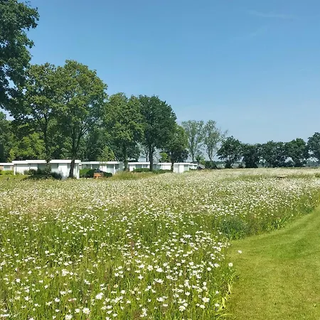 Pet Friendly In With Wifi *