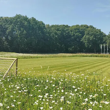 Dom wakacyjny Wspaniały Dom Z 2 Sypialniami W Afferden (Limburg)