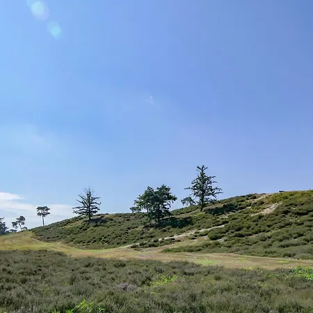 Pet Friendly In With Wifi *