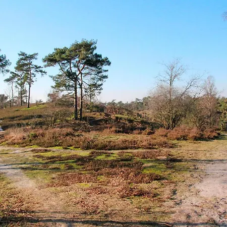 Pet Friendly In With Wifi