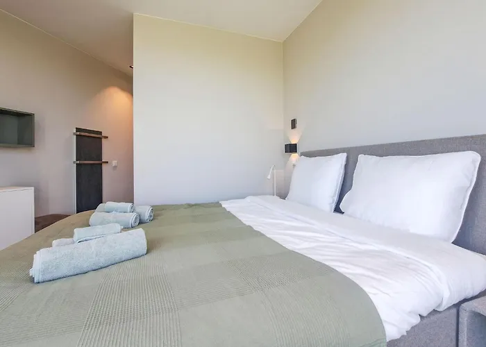 Pet Friendly In With Wifi