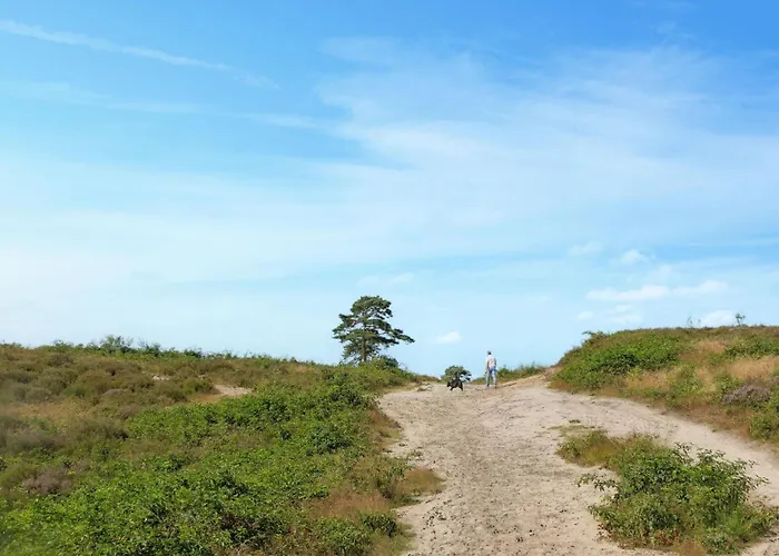 Pet Friendly In With Wifi Сasa de vacaciones Afferden (Limburg)