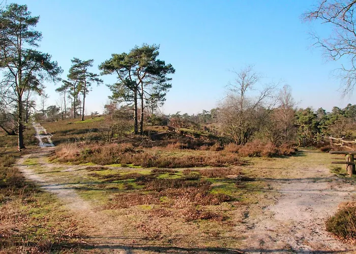 Pet Friendly In With Wifi