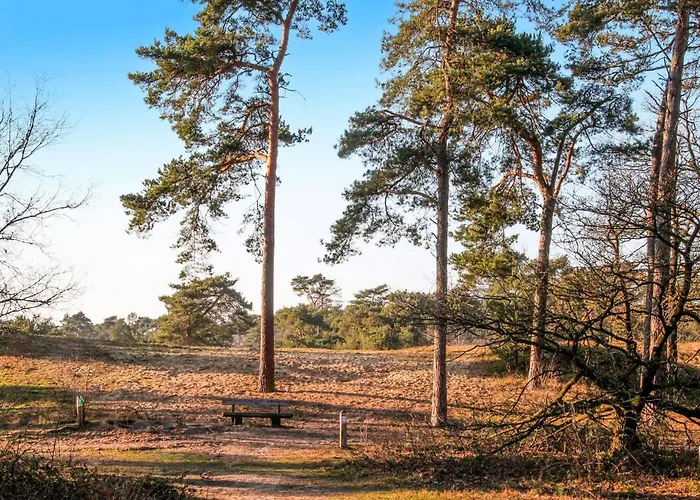 Pet Friendly In With Wifi * Afferden (Limburg)