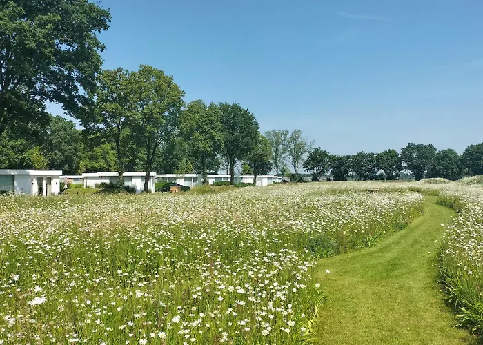 Pet Friendly In With Wifi *