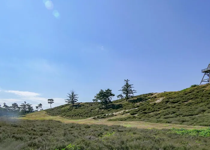 Pet Friendly In With Wifi *